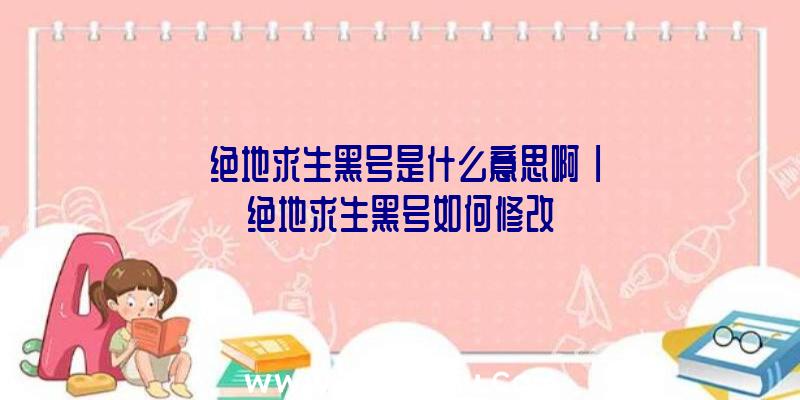 「绝地求生黑号是什么意思啊」|绝地求生黑号如何修改